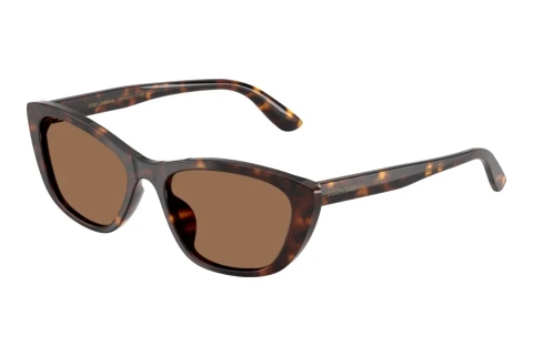 Lunettes de soleil Dolce & Gabbana DG4571 502/73