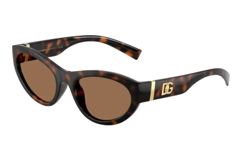 Lunettes de soleil Dolce & Gabbana DG6207 502/73