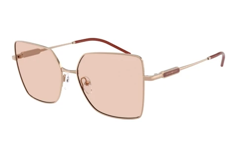 Lunettes de soleil Emporio Armani EA2179 301173