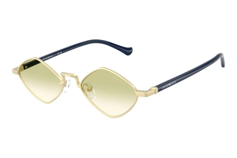 Lunettes de soleil Emporio Armani EA2182 30028E