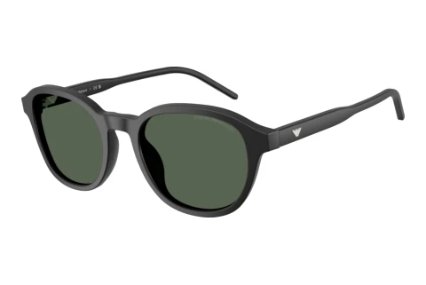 Lunettes de soleil Emporio Armani EA4247U 500171