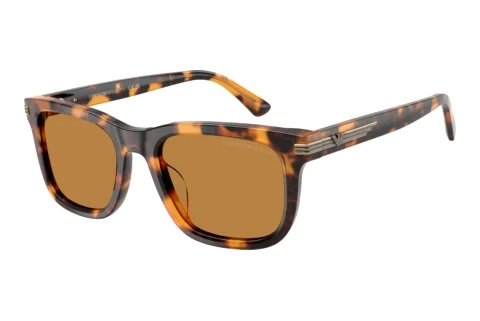 Lunettes de soleil Emporio Armani EA4282U 591693