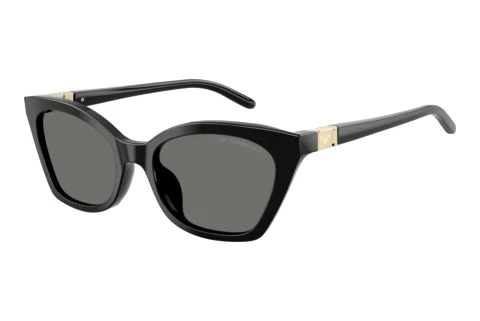 Lunettes de soleil Emporio Armani EA4284U 501781