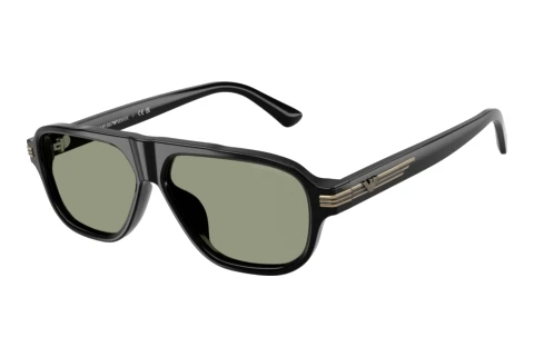 Lunettes de soleil Emporio Armani EA4285U 5017/2