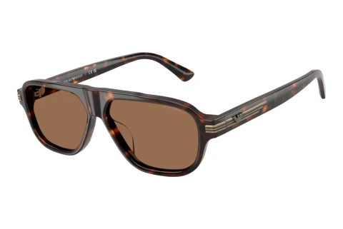 Lunettes de soleil Emporio Armani EA4285U 502673