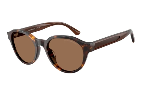 Lunettes de soleil Emporio Armani EK4008U 502673