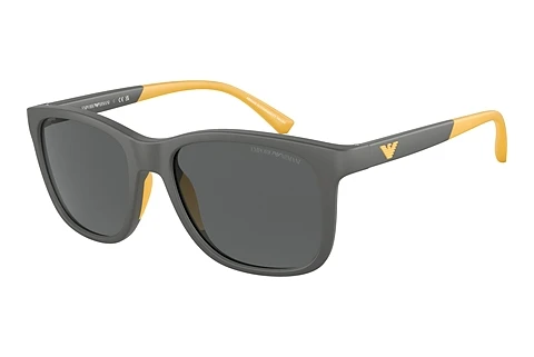 Lunettes de soleil Emporio Armani EK4184 506087