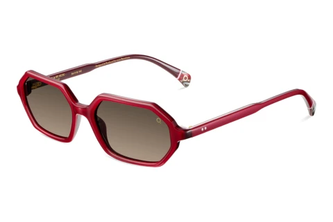 Lunettes de soleil Etnia Barcelona CALA PI SUN RDGY
