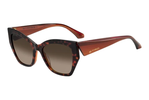 Lunettes de soleil Etro ETRO 0143/S L9G/HA