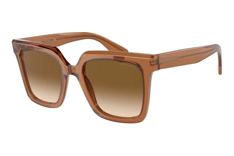 Lunettes de soleil Giorgio Armani AR8156 593251