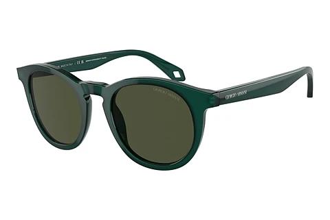 Lunettes de soleil Giorgio Armani AR8192 604431