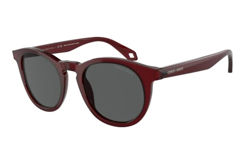Lunettes de soleil Giorgio Armani AR8192 6045B1