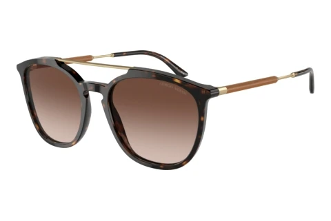 Lunettes de soleil Giorgio Armani AR8198 502613