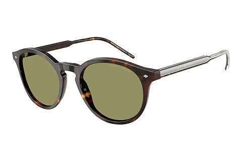 Lunettes de soleil Giorgio Armani AR8211 587914