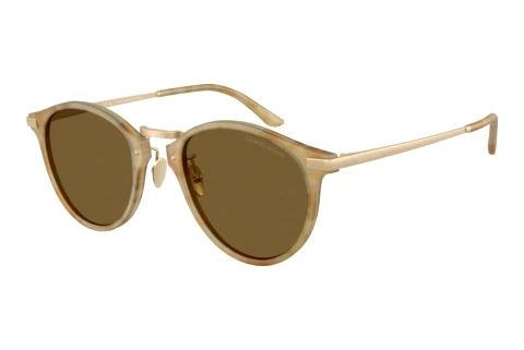 Lunettes de soleil Giorgio Armani AR8250 630073