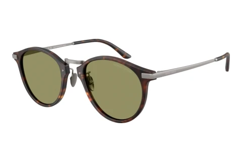 Lunettes de soleil Giorgio Armani AR8250 640353