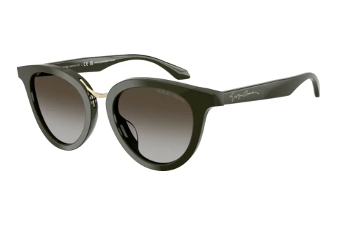 Lunettes de soleil Giorgio Armani AR8252U 640013