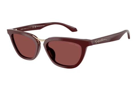 Lunettes de soleil Giorgio Armani AR8253U 639775