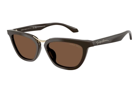 Lunettes de soleil Giorgio Armani AR8253U 639873