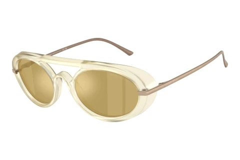 Lunettes de soleil Giorgio Armani AR8256 6409O8