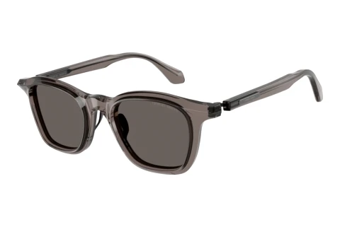 Lunettes de soleil Giorgio Armani AR8257 6423B1