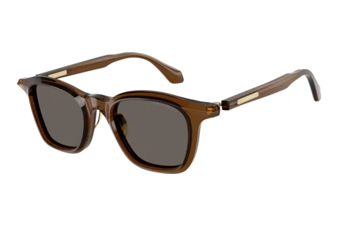 Lunettes de soleil Giorgio Armani AR8257 642453