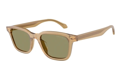 Lunettes de soleil Giorgio Armani AR8265U 64732A