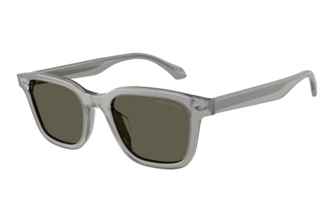 Lunettes de soleil Giorgio Armani AR8265U 647471