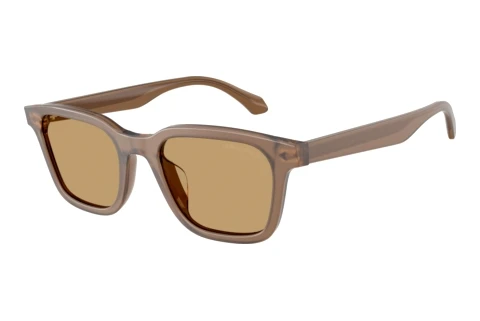 Lunettes de soleil Giorgio Armani AR8265U 647573