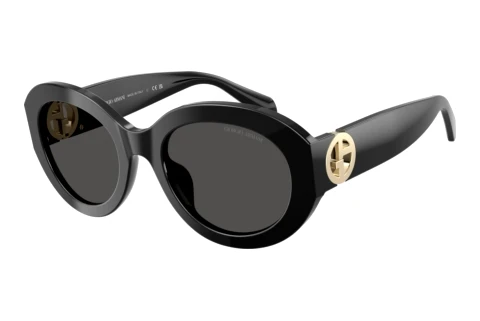 Lunettes de soleil Giorgio Armani AR8269U 587587