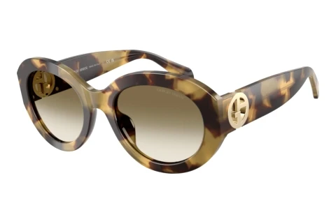 Lunettes de soleil Giorgio Armani AR8269U 630113