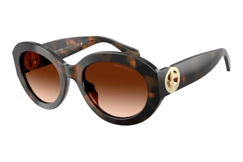Lunettes de soleil Giorgio Armani AR8269U 647874