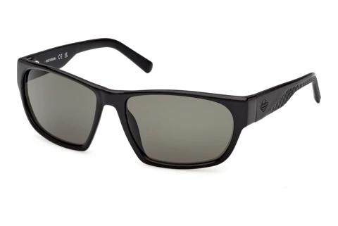 Lunettes de soleil Harley-Davidson HD00031 01N
