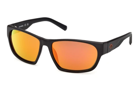 Lunettes de soleil Harley-Davidson HD00031 02D