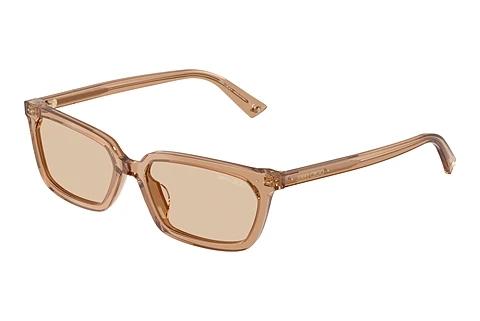 Lunettes de soleil Jimmy Choo JC5050U 507693