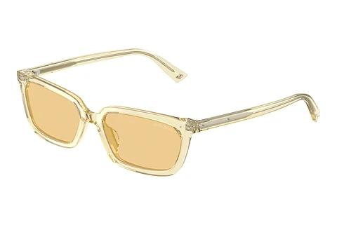 Lunettes de soleil Jimmy Choo JC5050U 5083/8