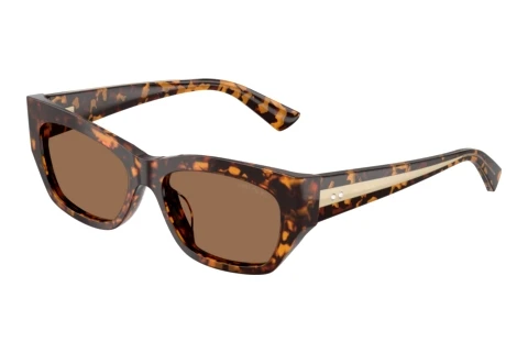Lunettes de soleil Jimmy Choo JC5071BU 512173
