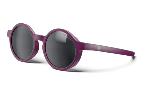 Lunettes de soleil Julbo RANGER 33_J581