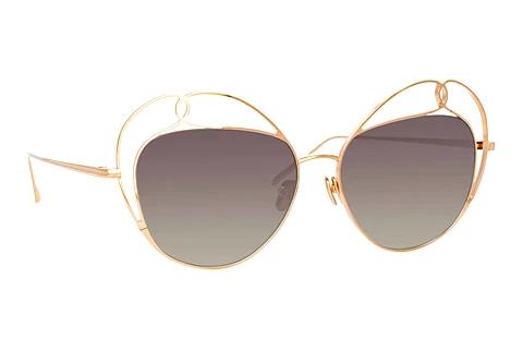 Lunettes de soleil Linda Farrow LFL853 C3