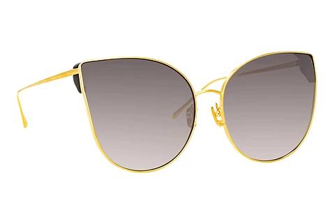 Lunettes de soleil Linda Farrow LFL895 C4
