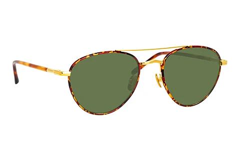 Lunettes de soleil Linda Farrow LFL954 C2
