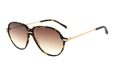 Lunettes de soleil Maje 425016 201