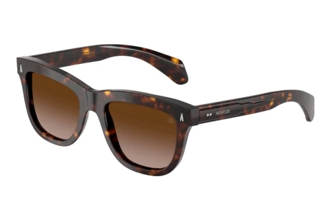 Lunettes de soleil Moncler BRONZZ (ME6023 300213)