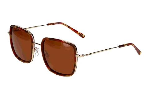 Lunettes de soleil Morgan 207384 8200