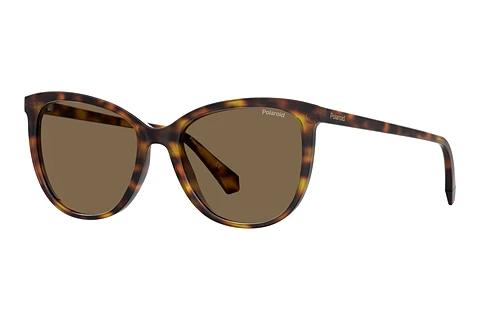Lunettes de soleil Polaroid PLD 4138/S 086/SP