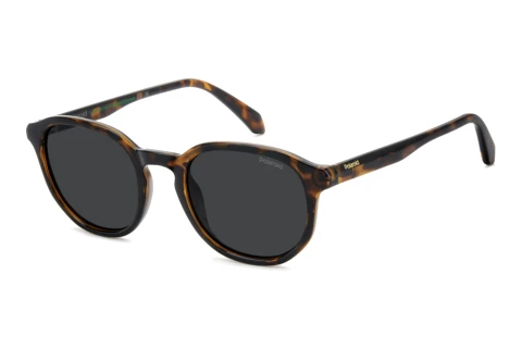 Lunettes de soleil Polaroid PLD 4195/S 086/M9