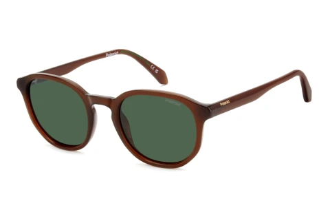 Lunettes de soleil Polaroid PLD 4195/S QGL/UC