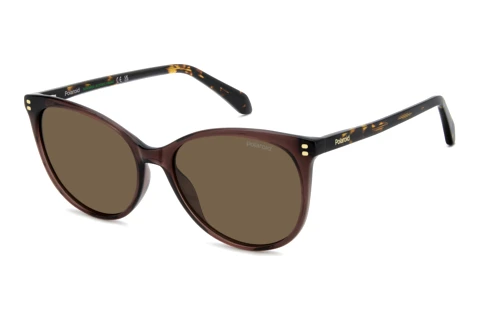Lunettes de soleil Polaroid PLD 4200/S/X 09Q/SP