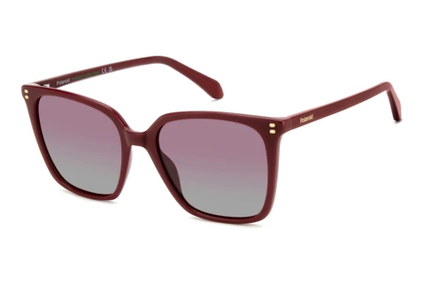 Lunettes de soleil Polaroid PLD 4201/S/X C9A/GC