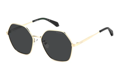 Lunettes de soleil Polaroid PLD 4205/G/S/X 2F7/M9